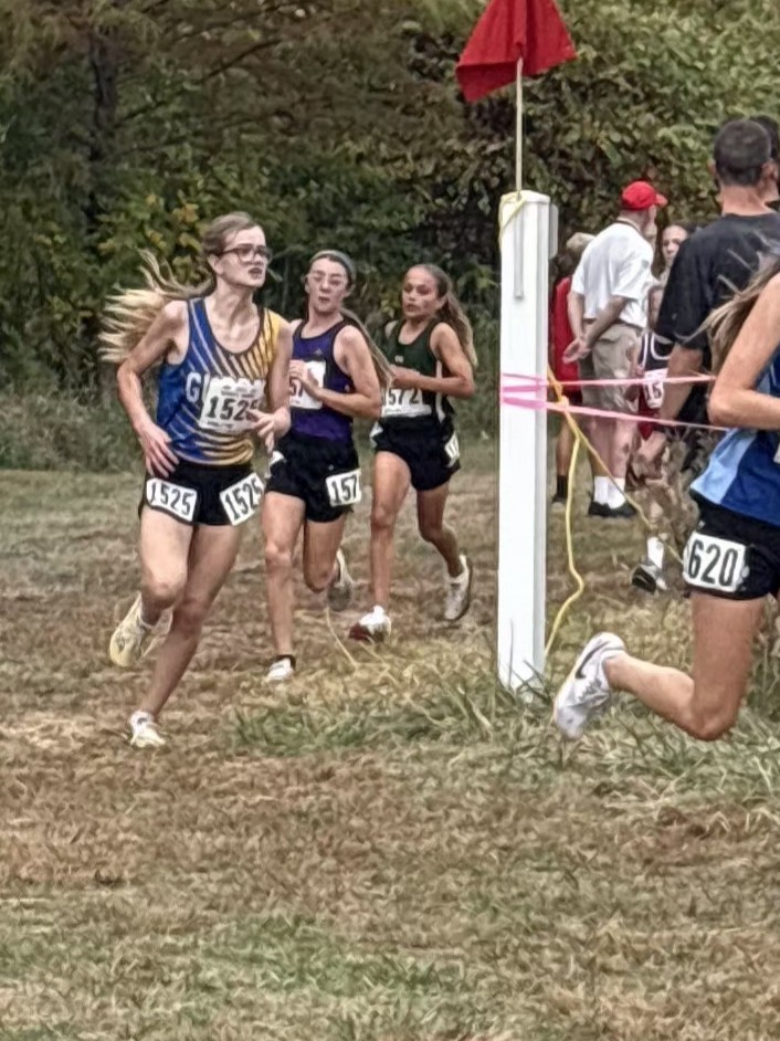cross country state meet