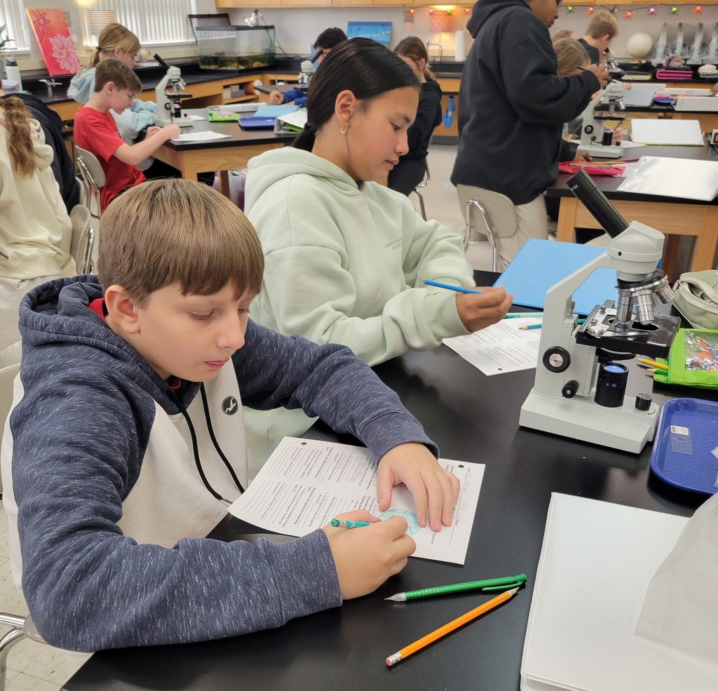 7th grade science class