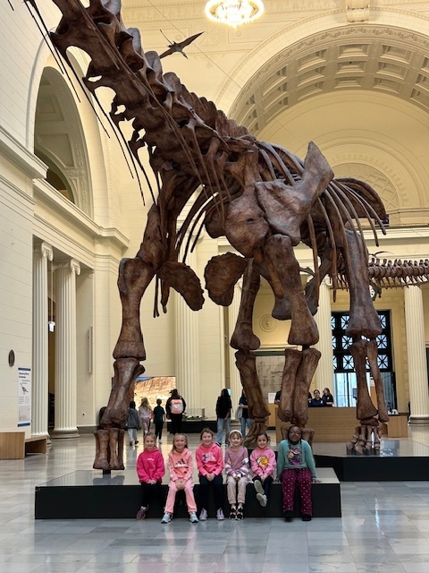 field museum field trip