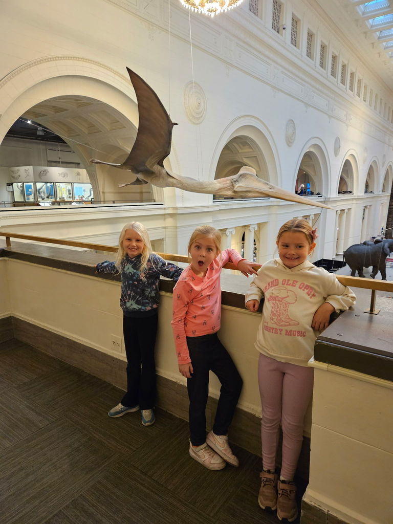 field museum field trip