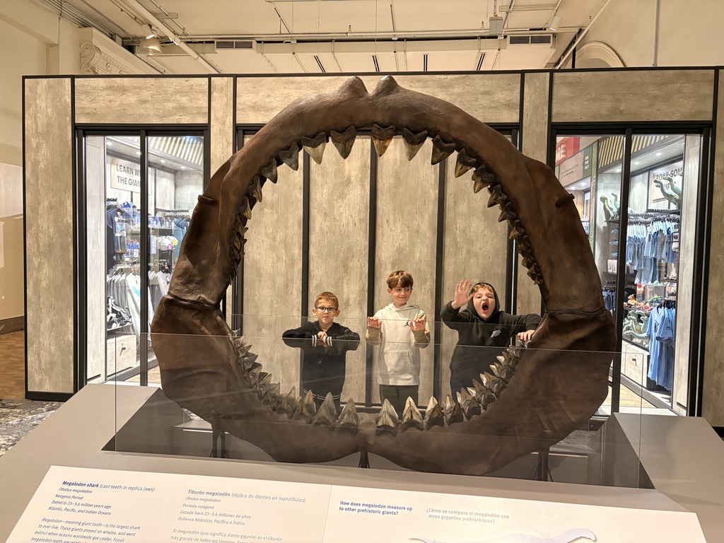 field museum field trip