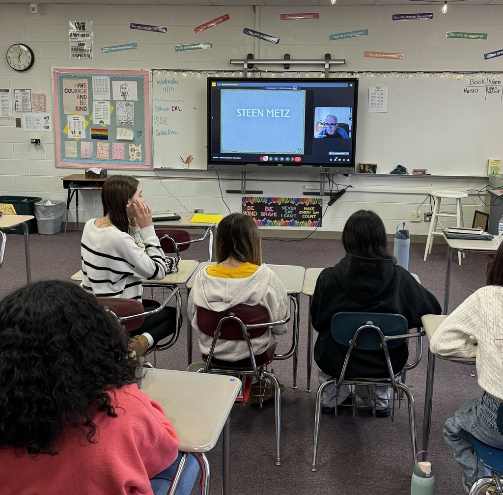 Steen Metz Virtual Meeting