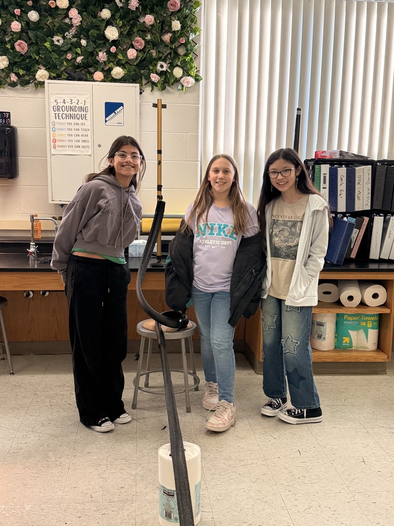 roller coaster project