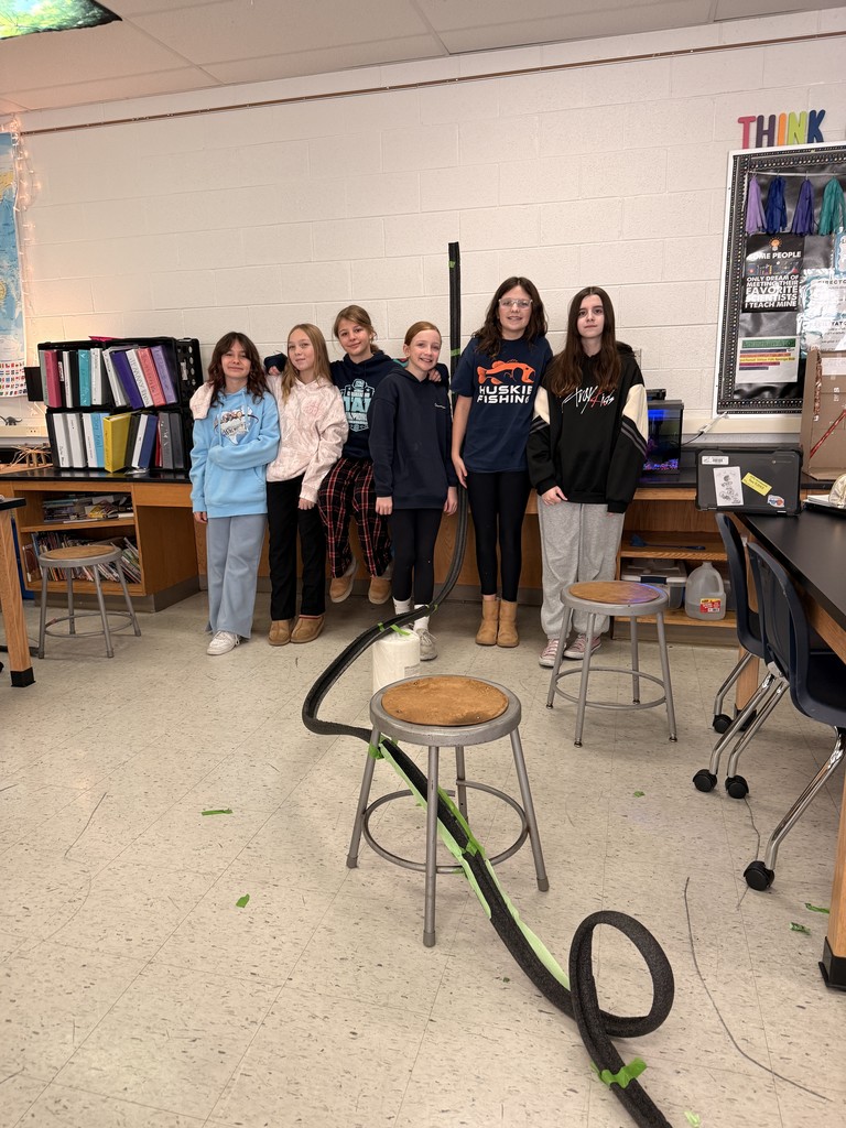 roller coaster project