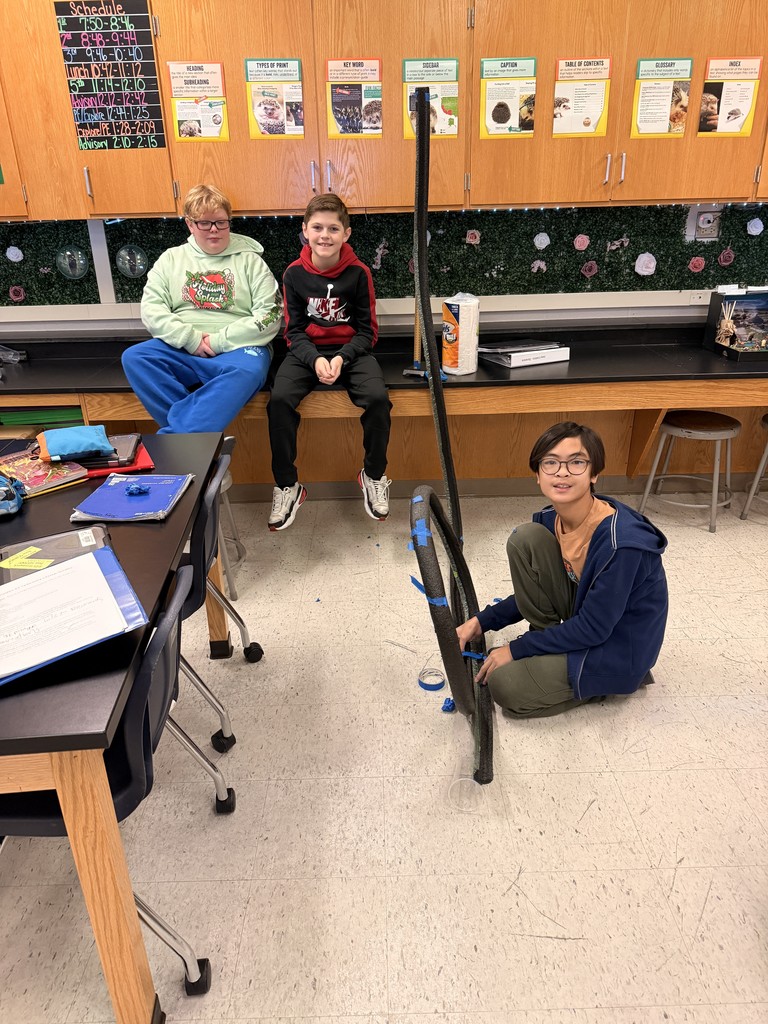 roller coaster project