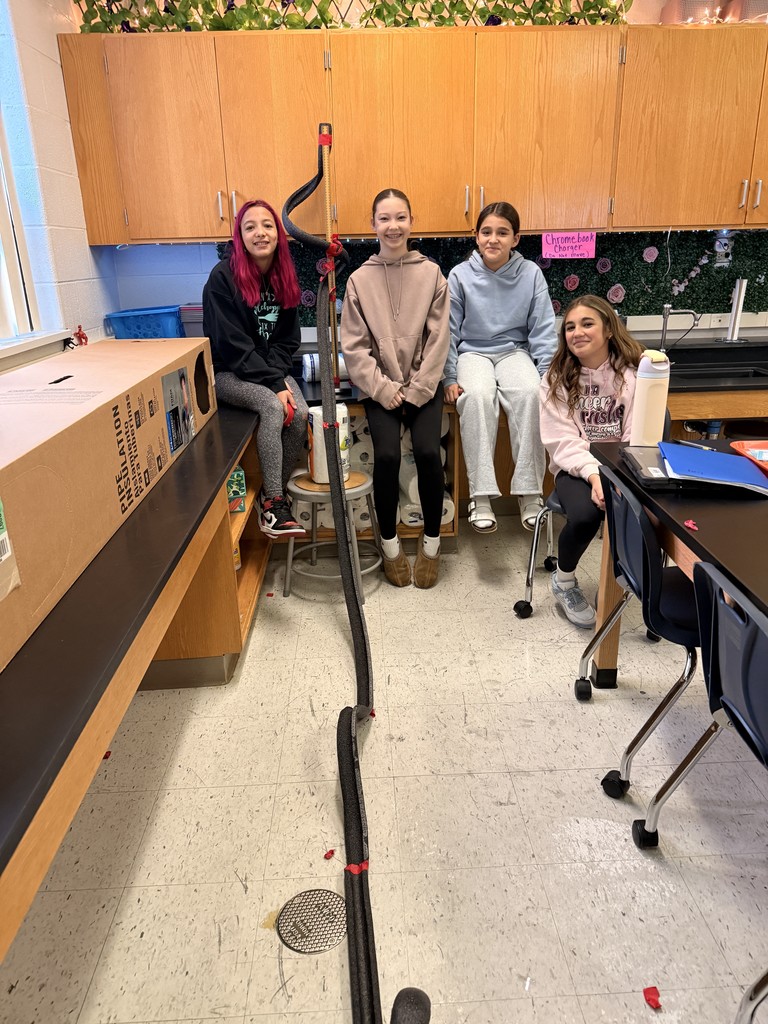 roller coaster project