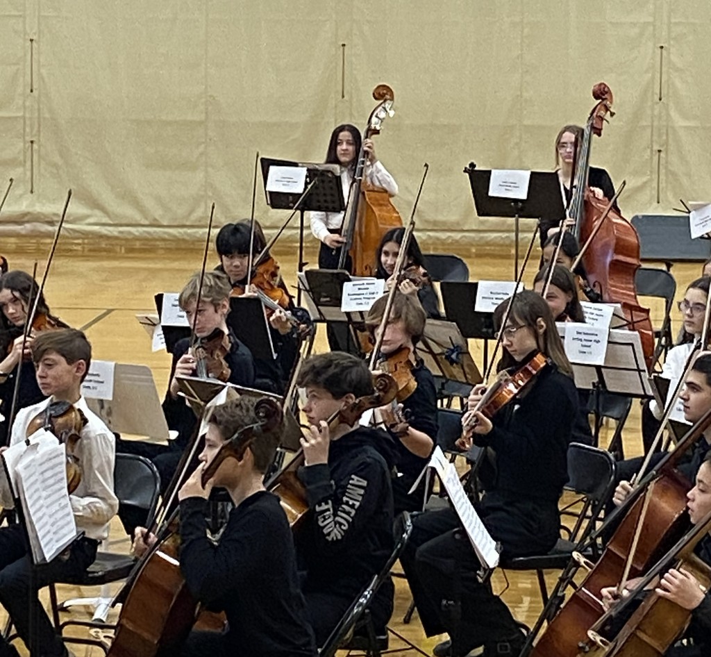 music festival participant