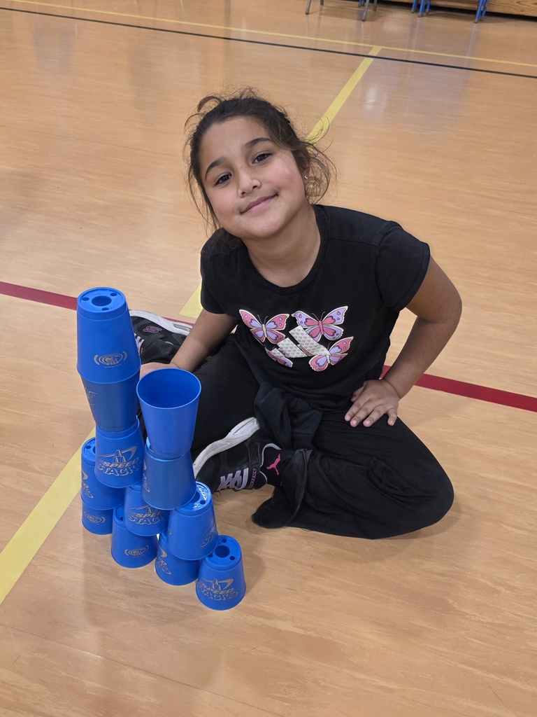 speed stacking