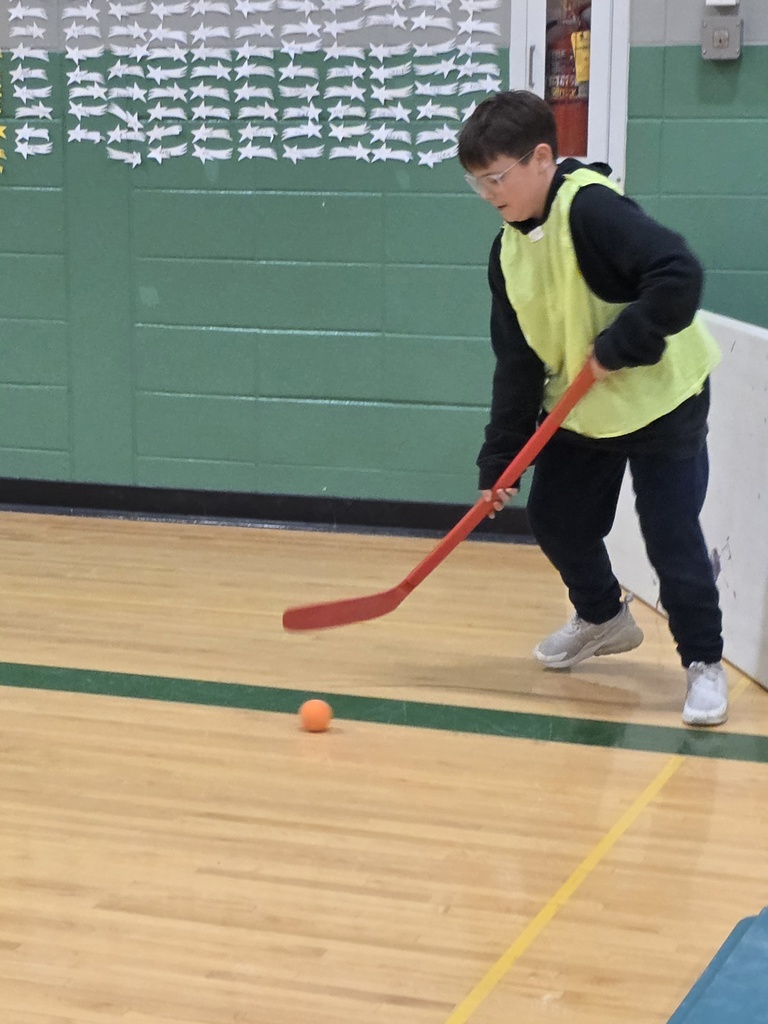floor hockey 