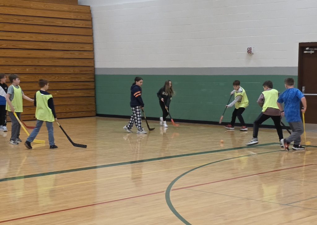 floor hockey 