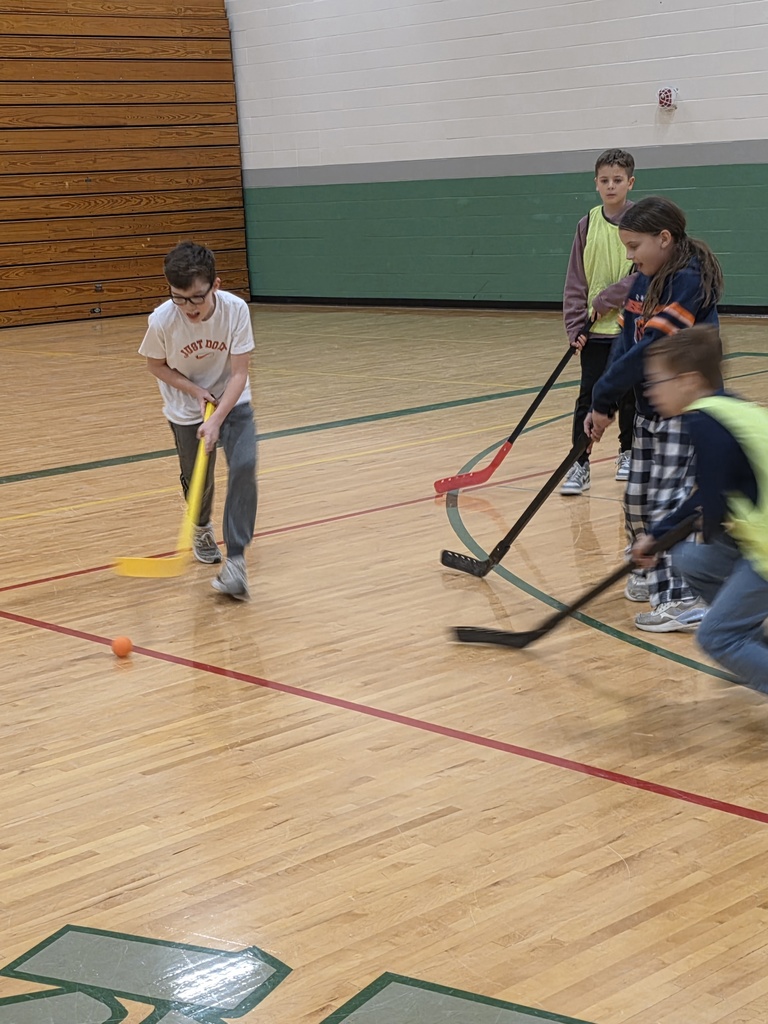 floor hockey 