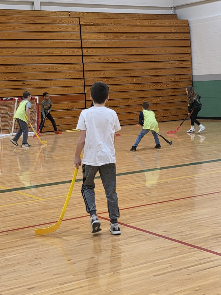 floor hockey 