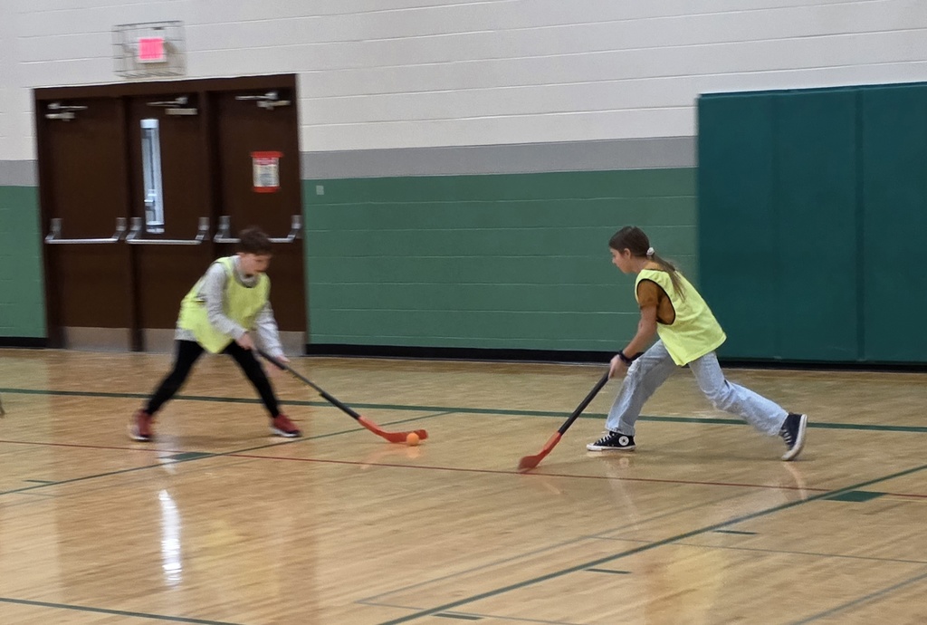 floor hockey 