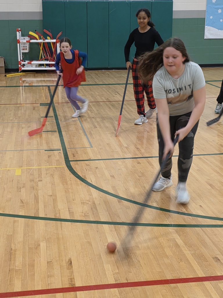 floor hockey 