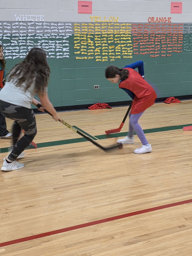 floor hockey 