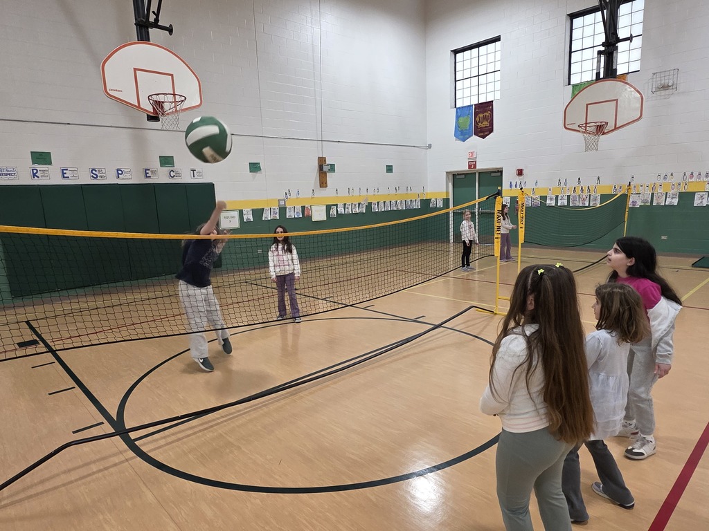 volleyball in PE