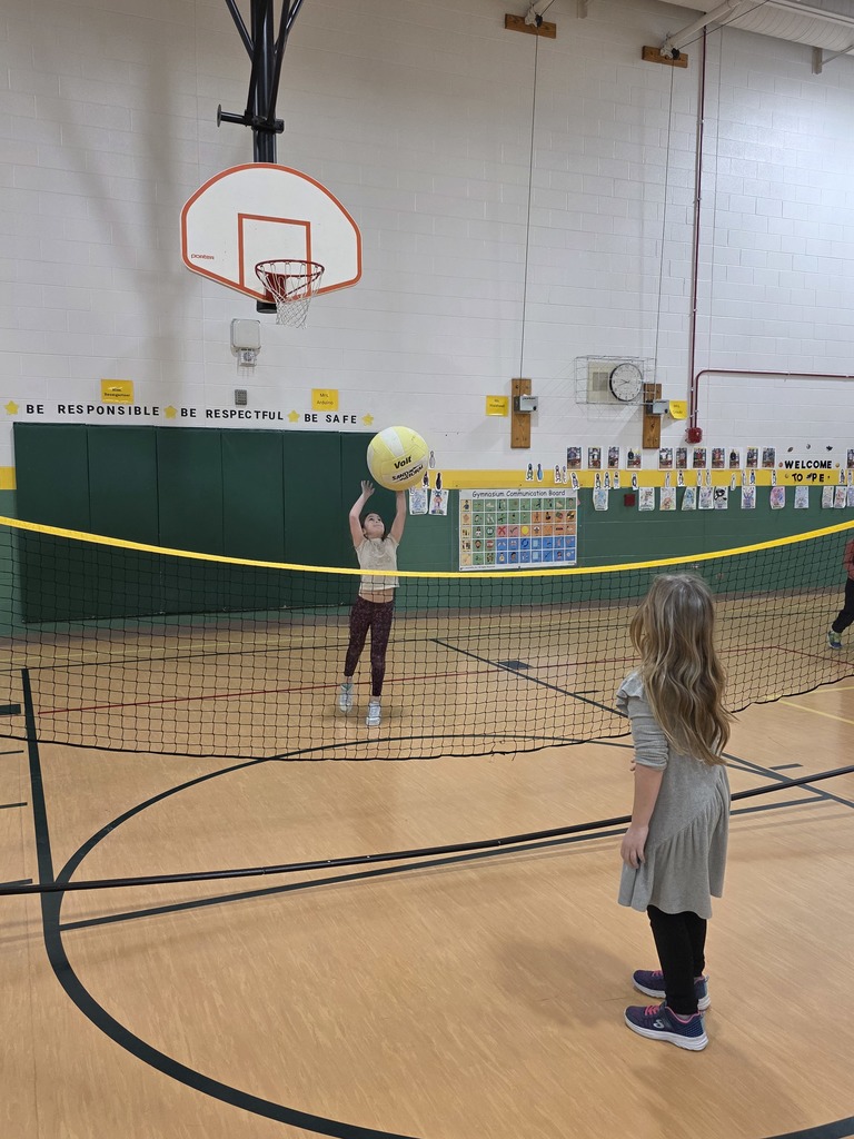 volleyball in PE