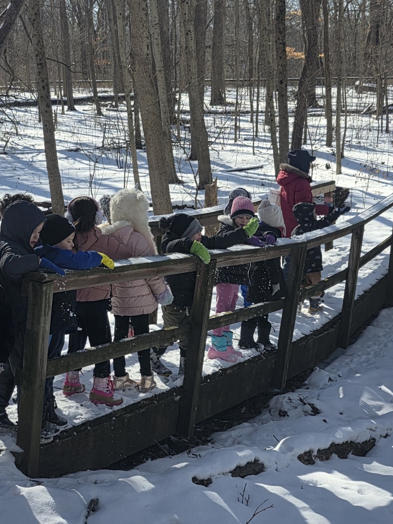 students on pilcher park field trip