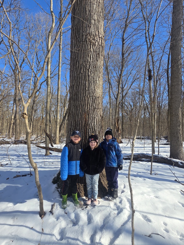 students on pilcher park field trip