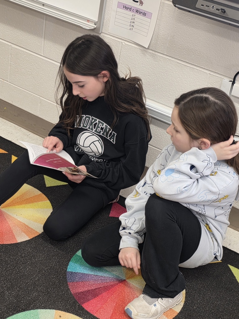 4th graders reading to 3rd graders