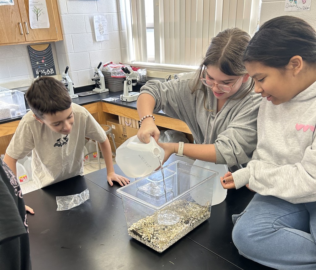 building pond ecosystems