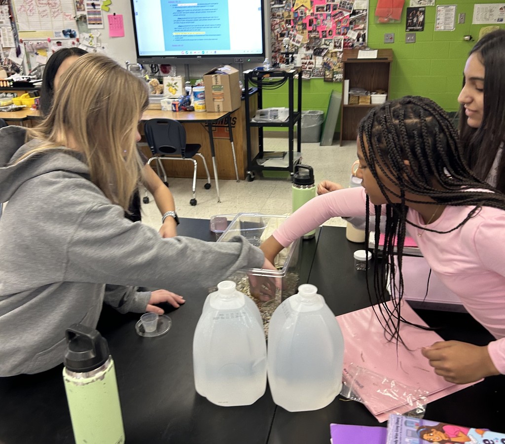 building pond ecosystems