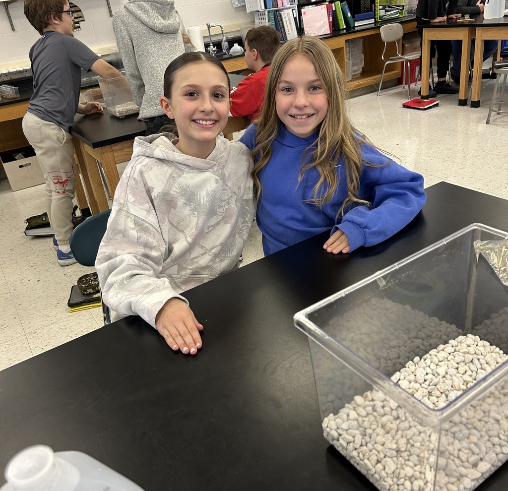 building pond ecosystems