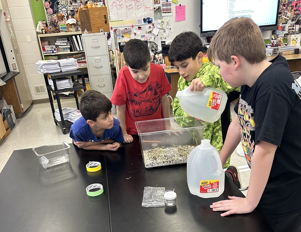 building pond ecosystems