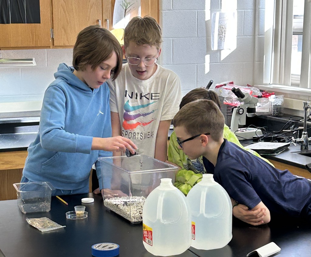 building pond ecosystems