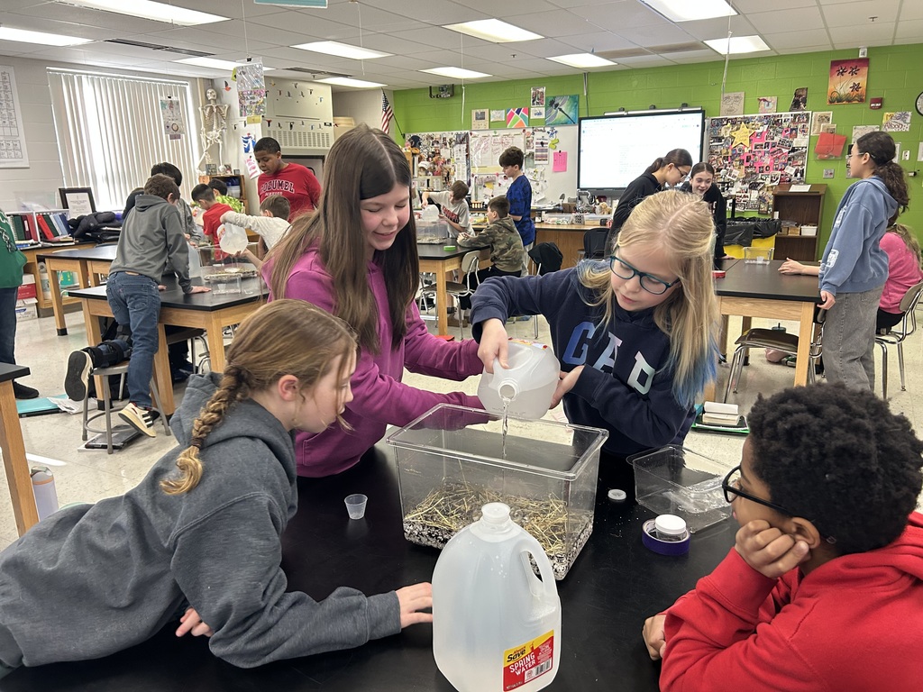 building pond ecosystems