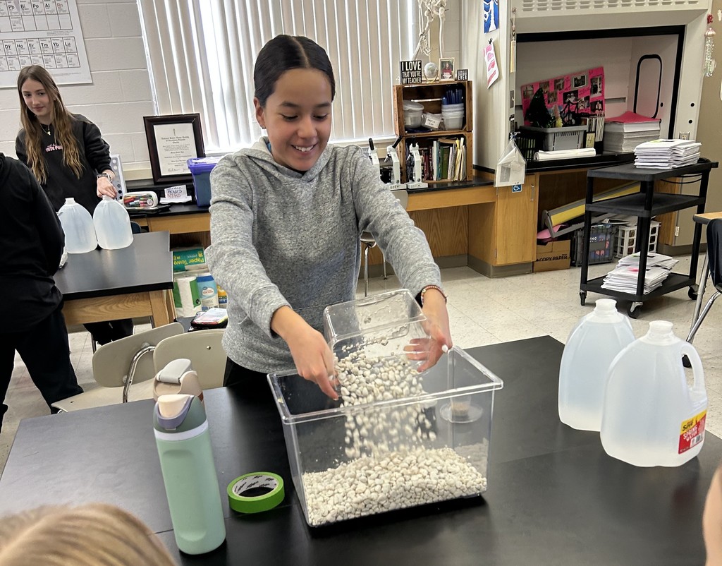 building pond ecosystems