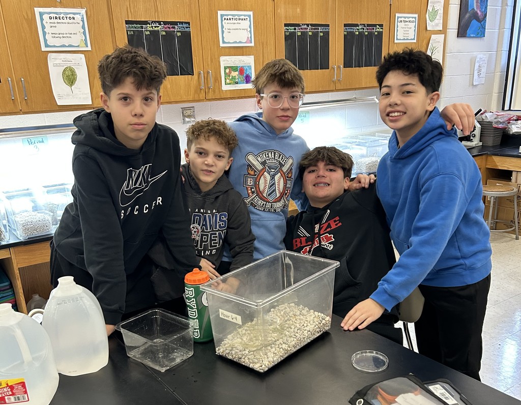 building pond ecosystems