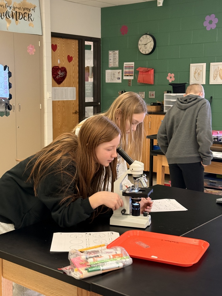 students using a microscope