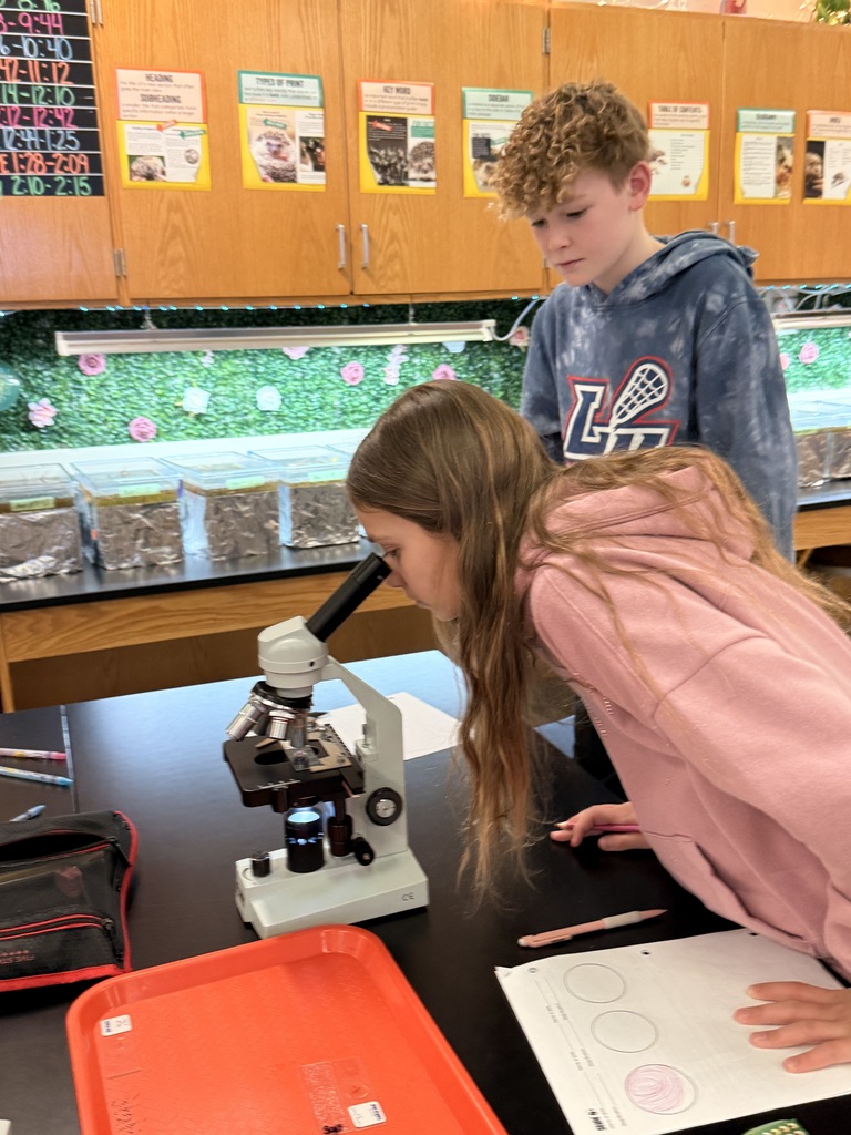 students using a microscope