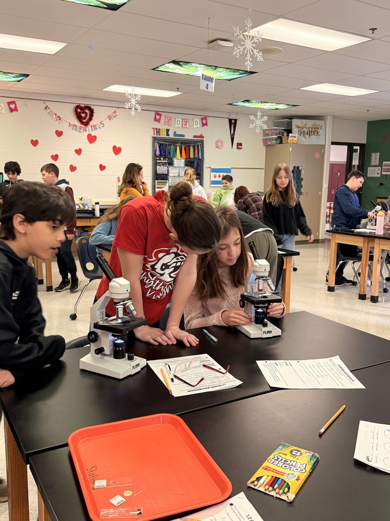 students using a microscope