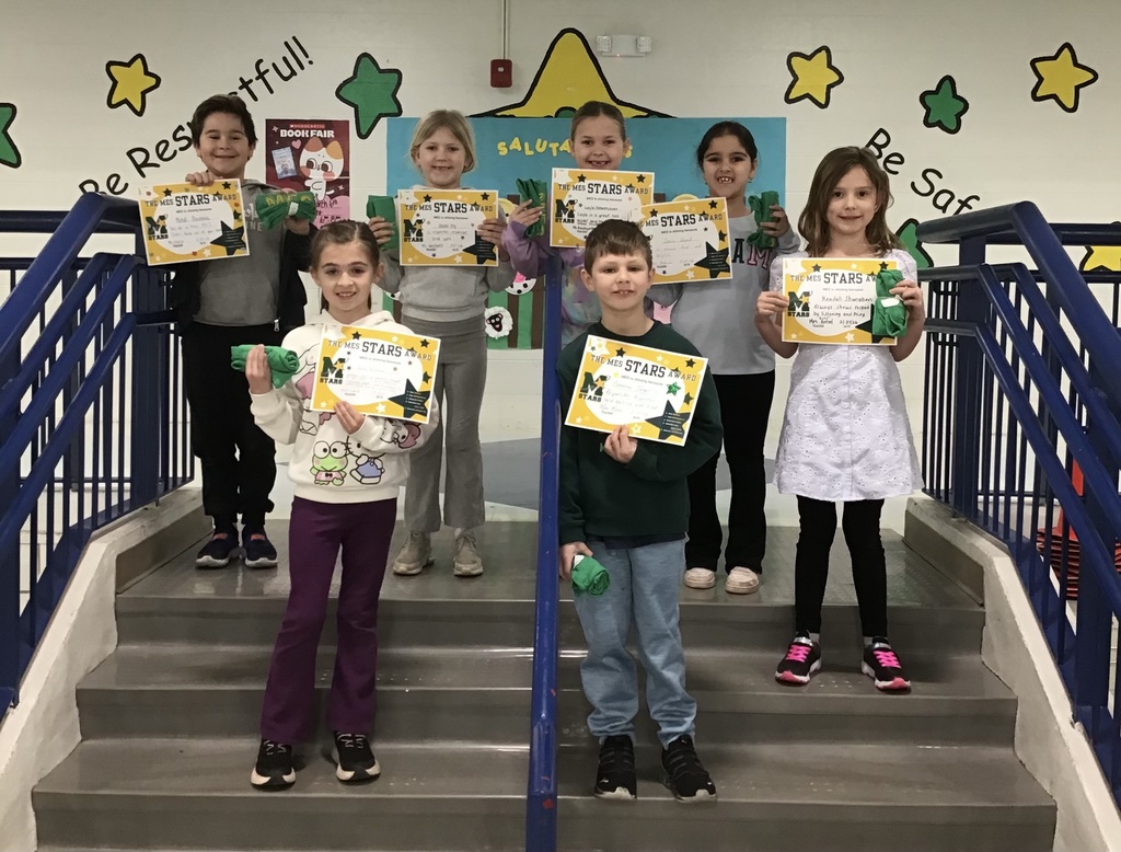mes star award winners with certificates