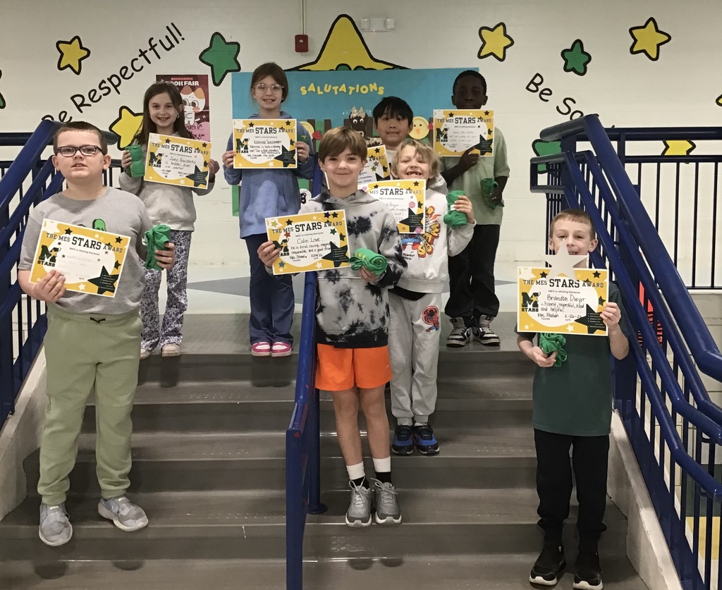 mes star award winners with certificates