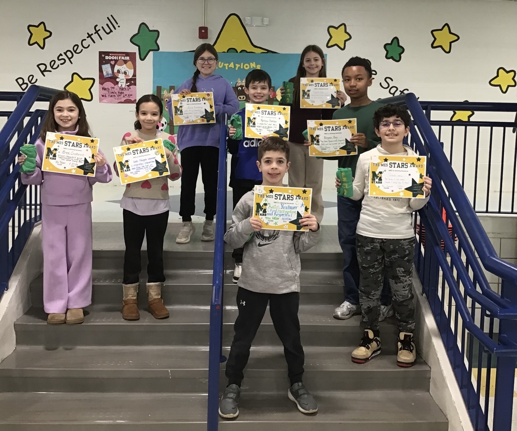 mes star award winners with certificates