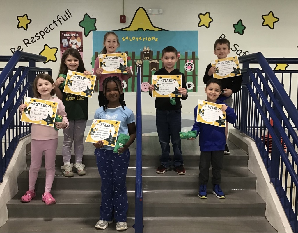 mes star award winners with certificates