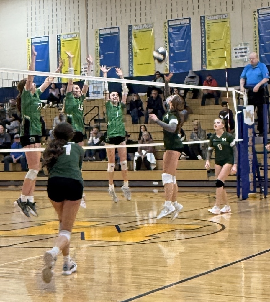 volleyball team playing a game