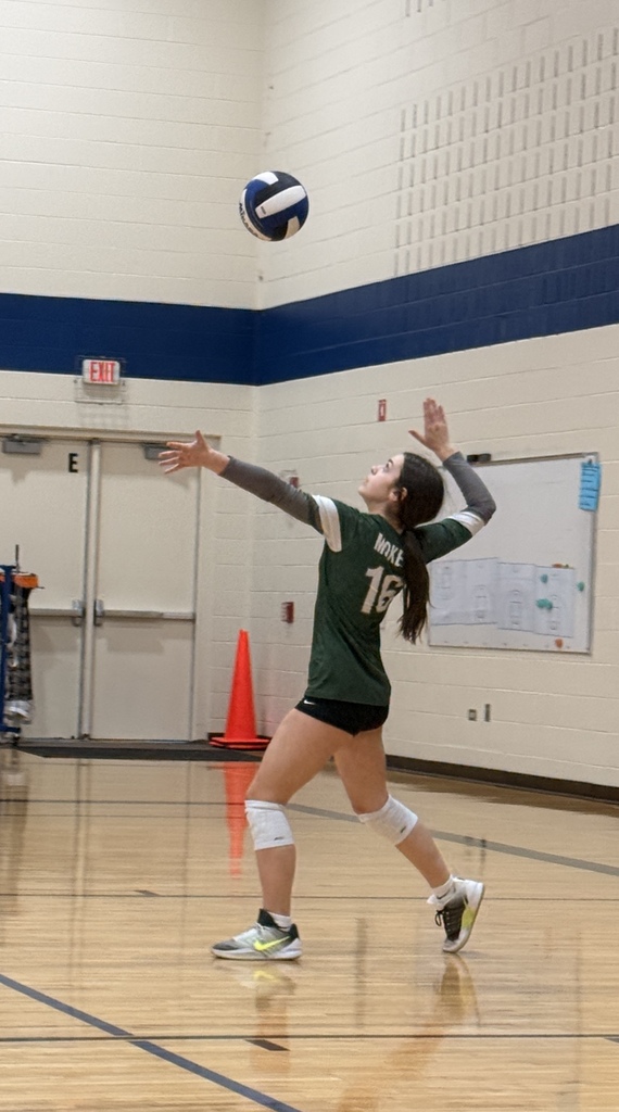 volleyball team playing a game