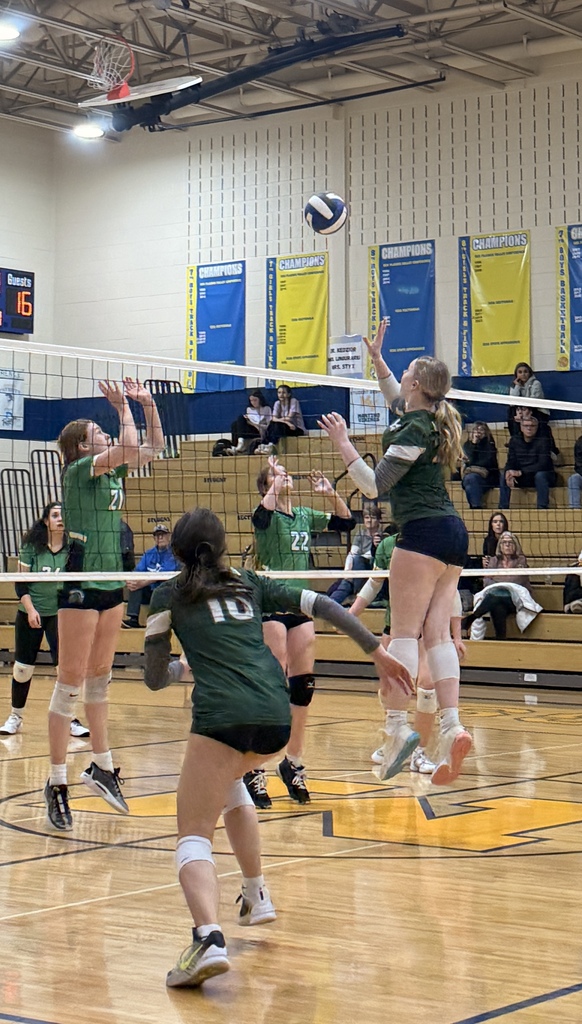 volleyball team playing a game