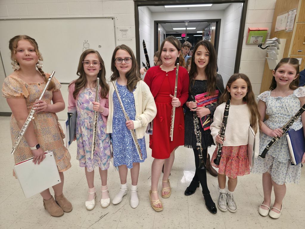 bands and orchestra concert with musicians playing instrument