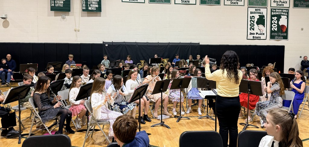 bands and orchestra concert with musicians playing instrument