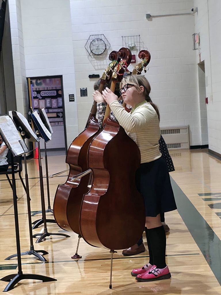 bands and orchestra concert with musicians playing instrument
