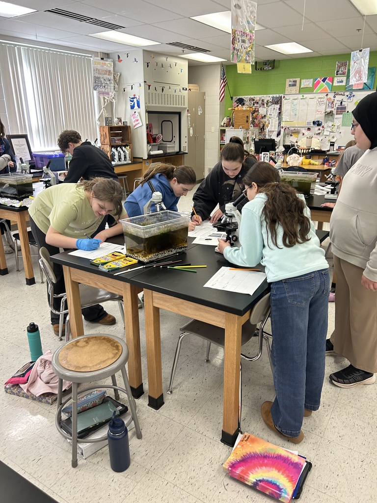 6th graders looking under the microscopes a pond water