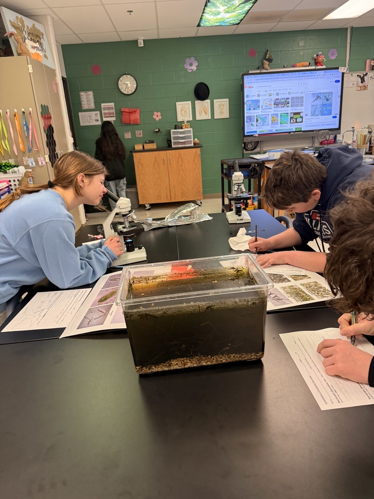 6th graders looking under the microscopes a pond water