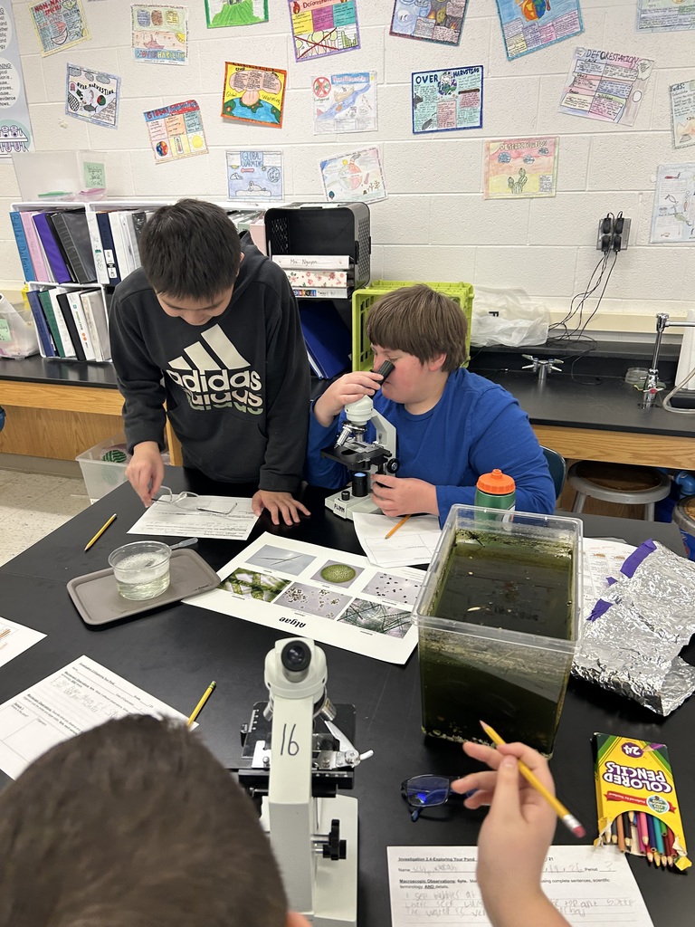 6th graders looking under the microscopes a pond water