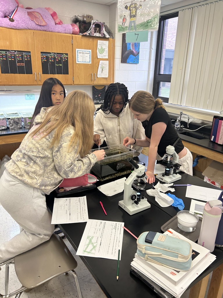 6th graders looking under the microscopes a pond water