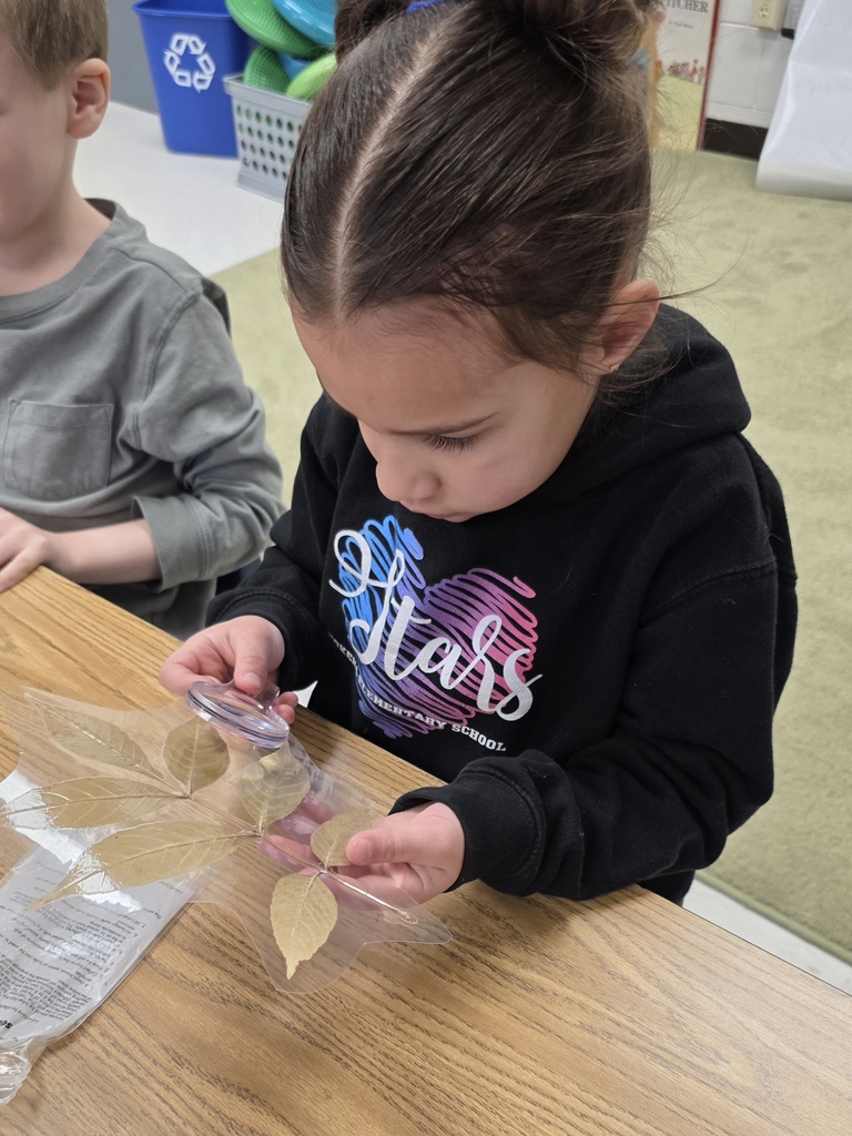 morton arboretum visit with students